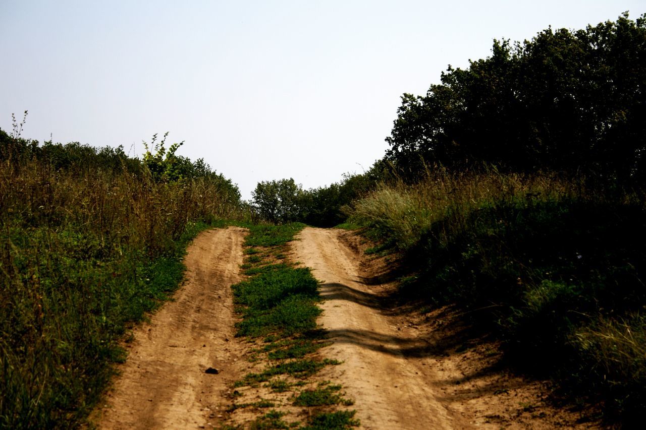 the way forward, tree, tranquility, clear sky, dirt road, grass, tranquil scene, landscape, growth, diminishing perspective, nature, footpath, field, vanishing point, beauty in nature, scenics, green color, plant, pathway, road