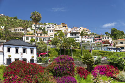 Low angle view of buildings by trees and plants on mountain against sky