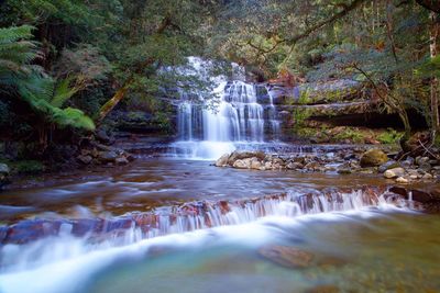 View of waterfall in forest