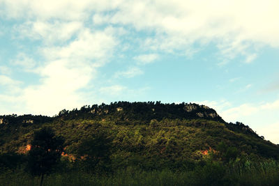 Scenic view of landscape against cloudy sky