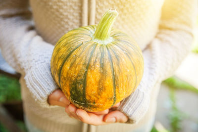 Cropped hand holding pumpkin