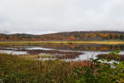 Scenic view of lake against sky