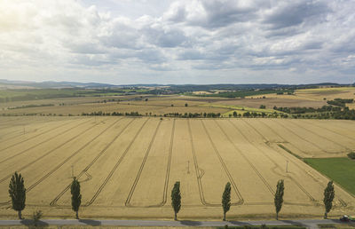 Scenic view of agricultural field against sky