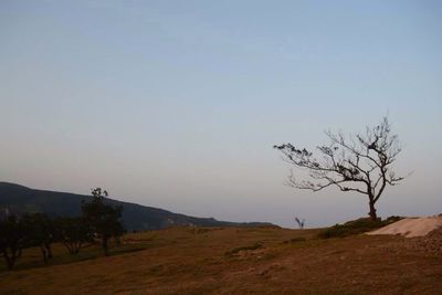 Landscape with mountain range in background