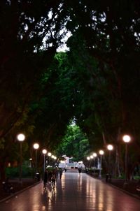 Illuminated street light at night