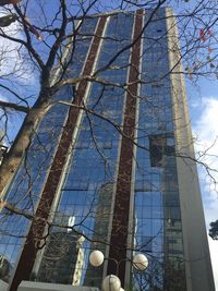 Low angle view of bare trees against blue sky