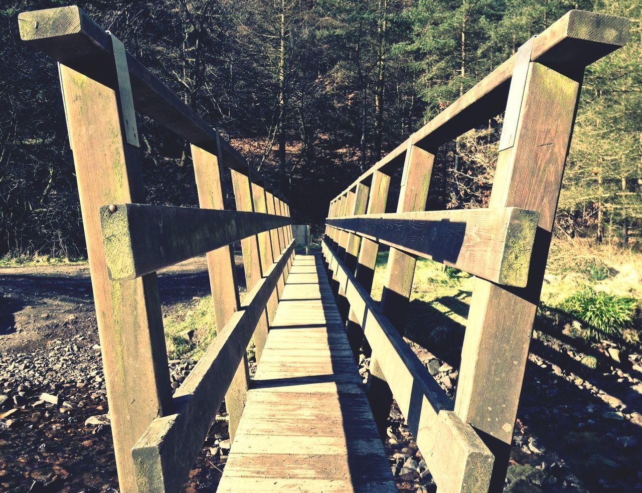 the way forward, railing, footbridge, built structure, connection, bridge - man made structure, wood - material, architecture, boardwalk, diminishing perspective, tree, bridge, wooden, water, wood, steps, steps and staircases, walkway, tranquility, long