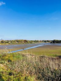 Scenic view of lake against clear blue sky