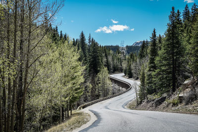 Road amidst trees in forest against sky