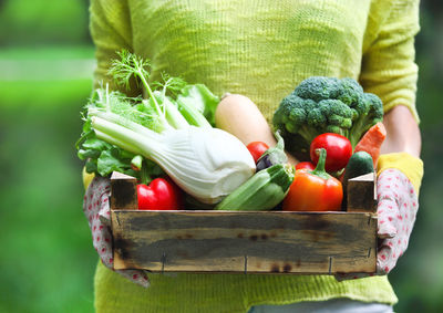 Vegetables in basket