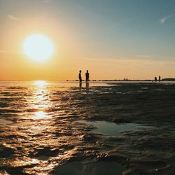 Scenic view of sea at sunset