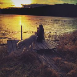 Dog in sea at sunset