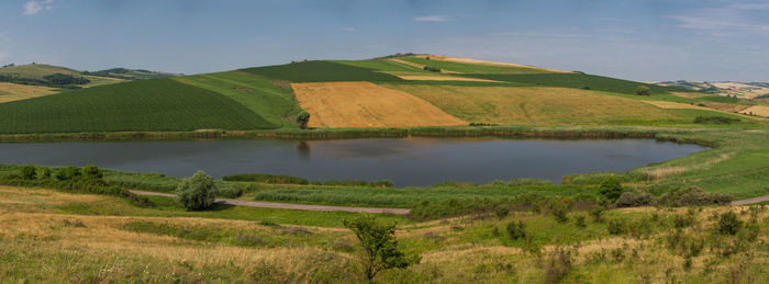 Scenic view of agricultural field against sky