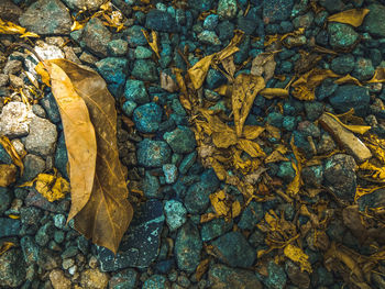 High angle view of stones in sea