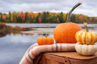 Close-up of pumpkin on lake