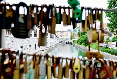 Close-up of padlocks in city