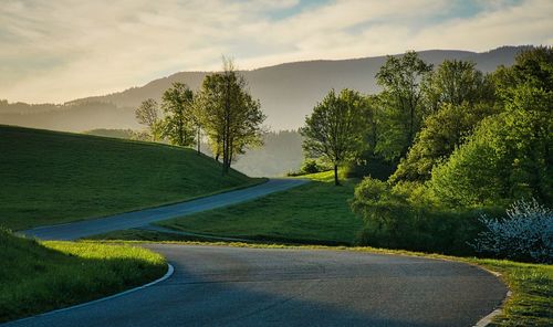 Road by trees against sky