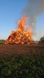 Trees on field against sky