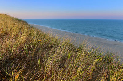 Golden hour at the cape cod national seashore