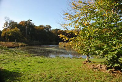 Scenic view of lake