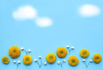 Close-up of yellow flowering plants against blue sky