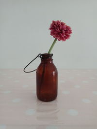 Close-up of flower in jar on table against wall