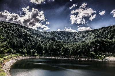 Scenic view of lake with trees in background