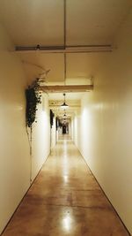 Illuminated corridor