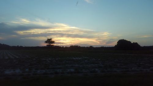 Scenic view of field against sky during sunset