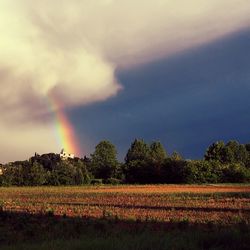 Scenic view of field against cloudy sky
