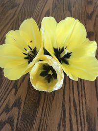 High angle view of yellow flower on table