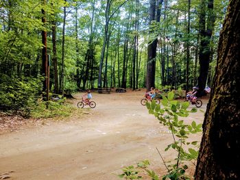 People riding bicycle on road in forest