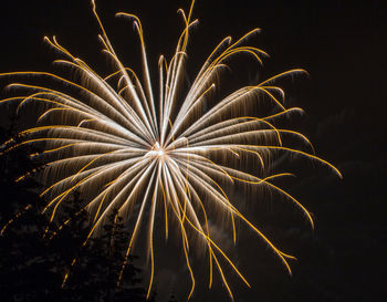 Low angle view of firework display at night