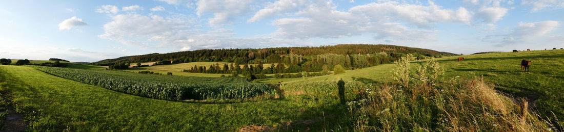 Panoramic view of agricultural field against sky