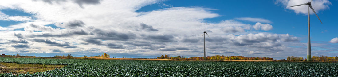 Panoramic view of agricultural field against sky