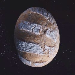 Full frame shot of tree