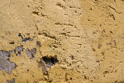 Close-up of mud