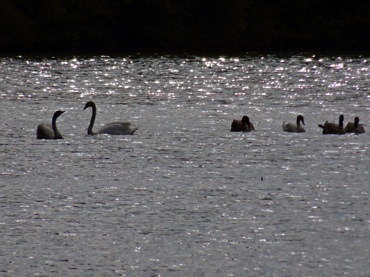 On lake