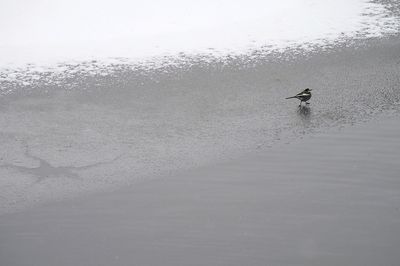 Close-up of person by lake against sky