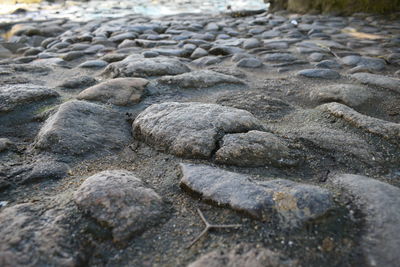 Full frame shot of pebbles on sand at beach