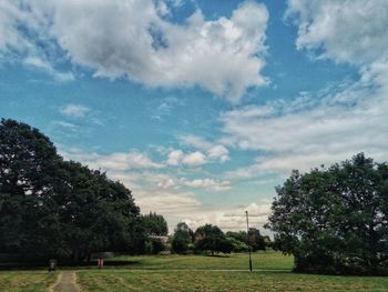 Trees on field against sky