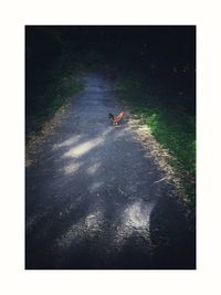 Shadow of people on field