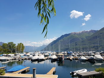 Sailboats moored at harbor against sky