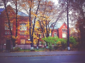 Trees in front of building