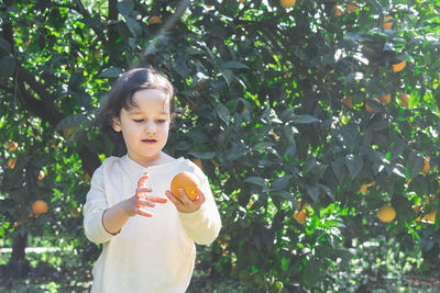 The boy stands among the trees in the garden and holds ripe oranges in his hands.