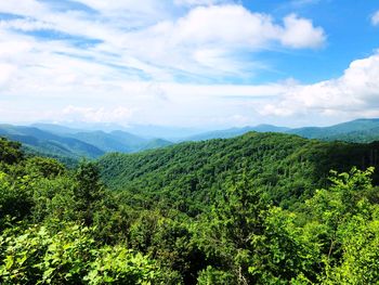 Scenic view of trees and mountains against sky