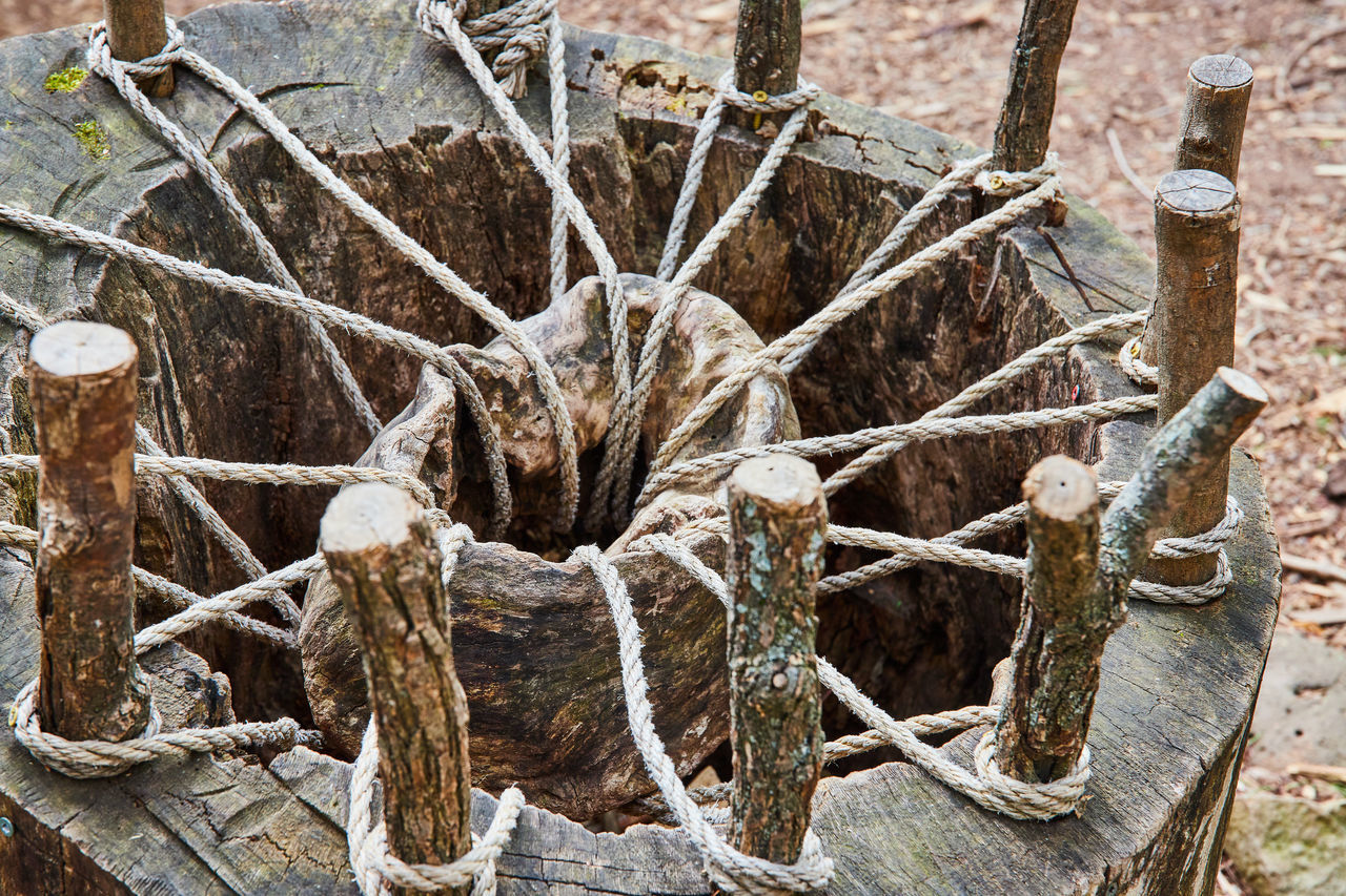 wood, no people, day, nature, tree, outdoors, rope, ancient history, sculpture, plant, high angle view, iron, branch, close-up, winter, leaf, old, land