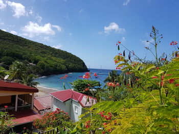 High angle view of plants by sea against sky