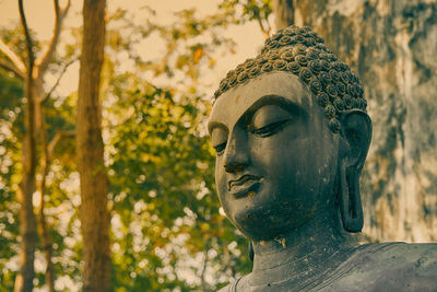 Close-up of statue against plants