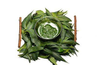 High angle view of green leaves on white background